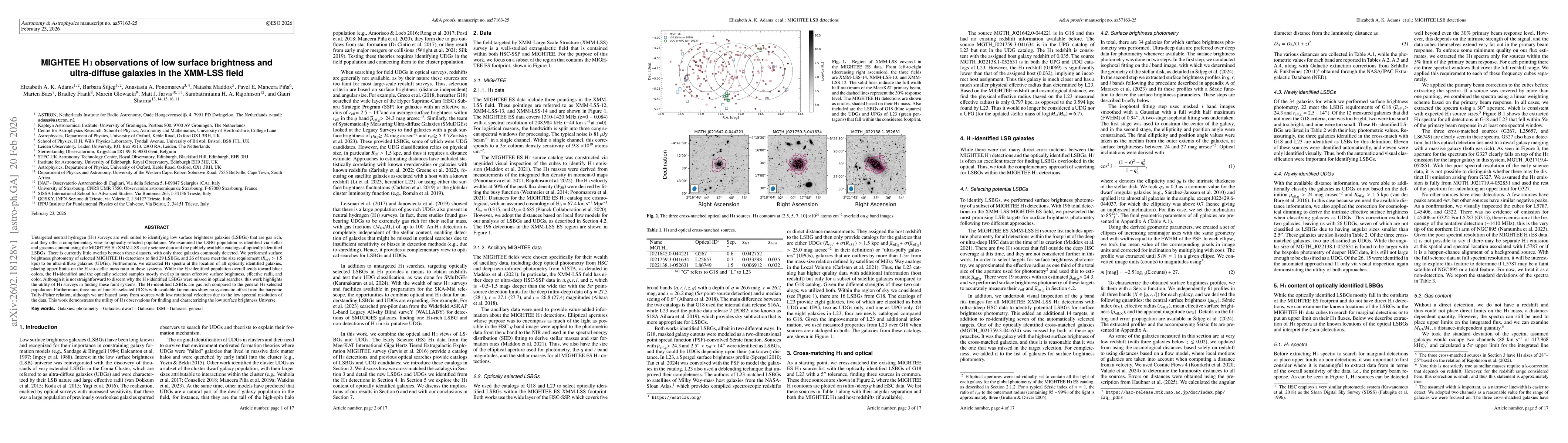 Thumbnail for MIGHTEE HI observations of low surface brightness and ultra-diffuse galaxies in the XMM-LSS field