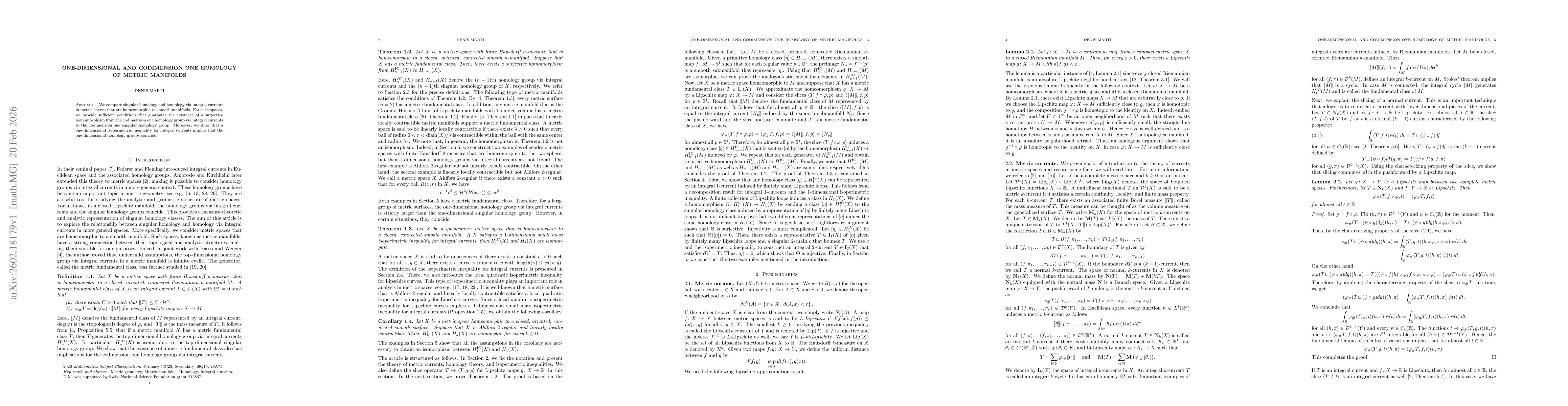 Thumbnail for One-dimensional and codimension one homology of metric manifolds