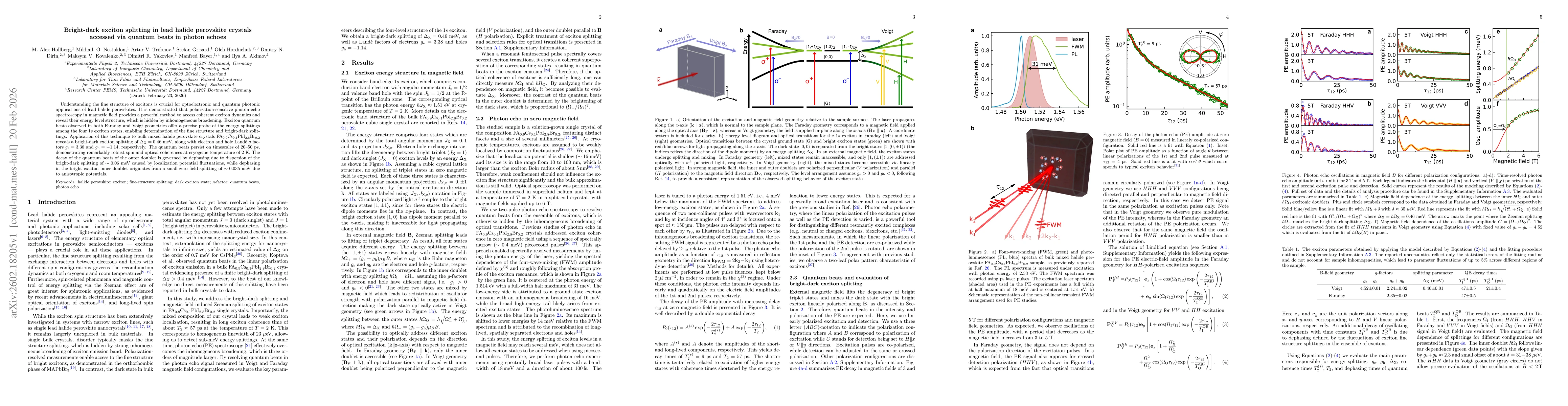 Thumbnail for Bright-dark exciton splitting in lead halide perovskite crystals accessed via quantum beats in photon echoes