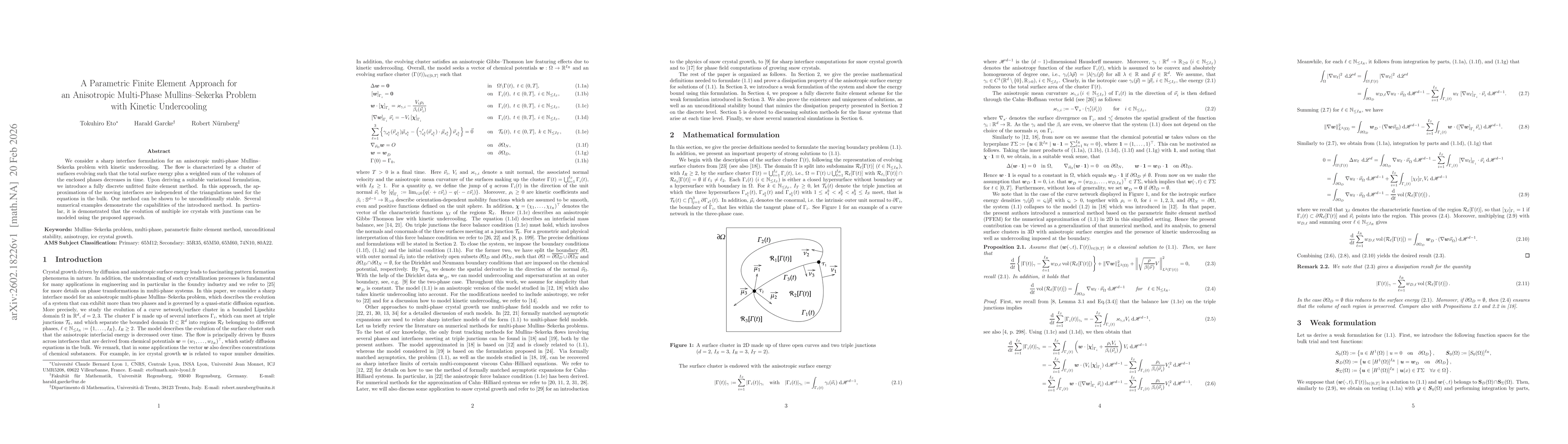 Thumbnail for A Parametric Finite Element Approach for an Anisotropic Multi-Phase Mullins-Sekerka Problem with Kinetic Undercooling