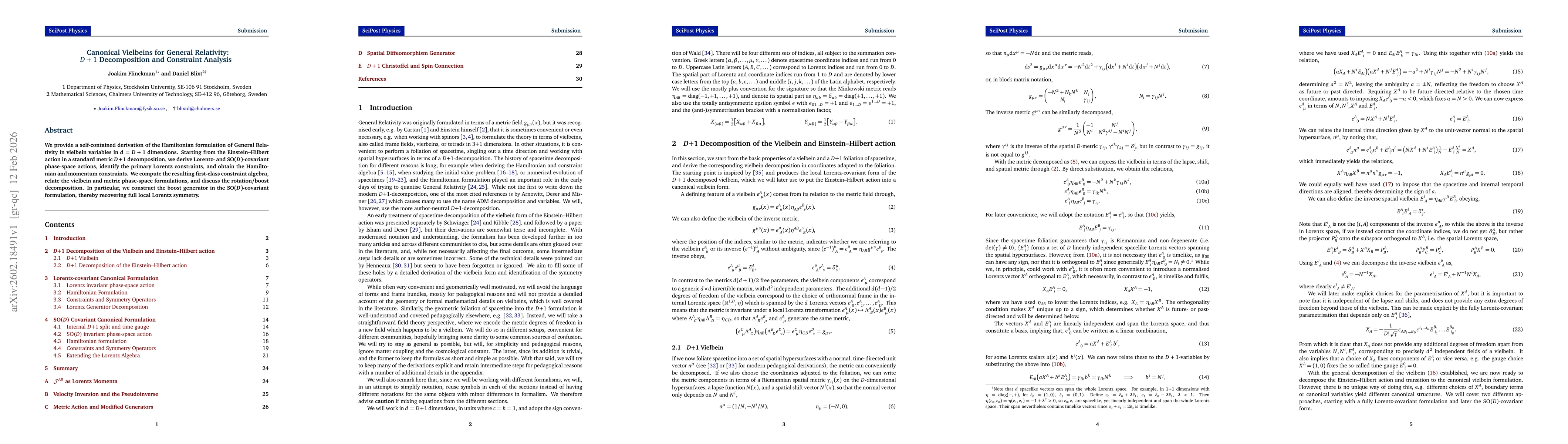 Thumbnail for Canonical Vielbeins for General Relativity: D + 1 Decomposition and Constraint Analysis