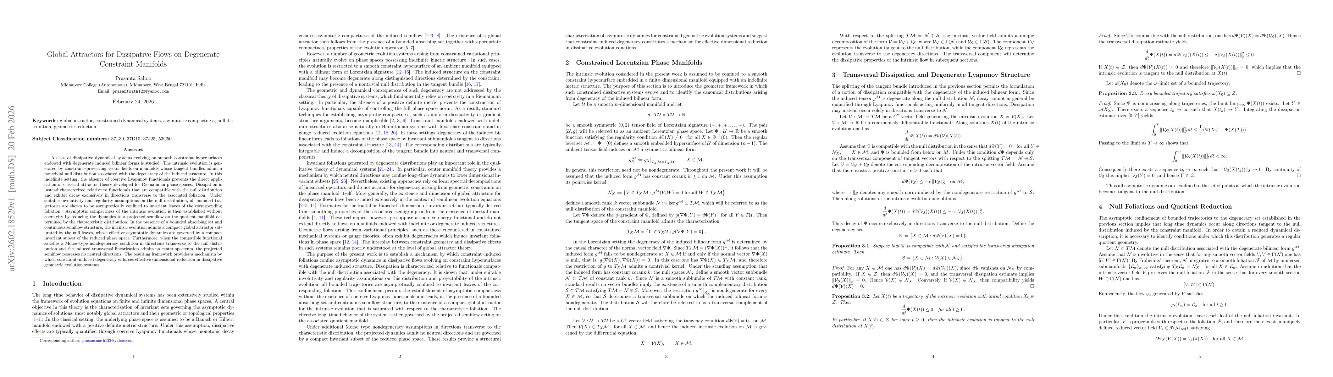 Thumbnail for Global Attractors for Dissipative Flows on Degenerate Constraint Manifolds