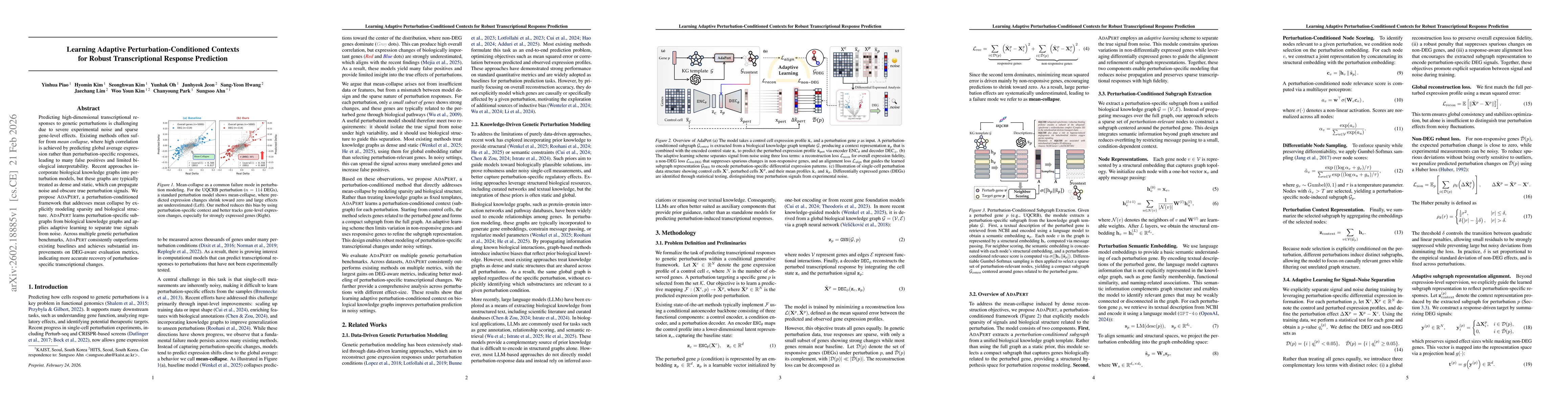 Thumbnail for Learning Adaptive Perturbation-Conditioned Contexts for Robust Transcriptional Response Prediction