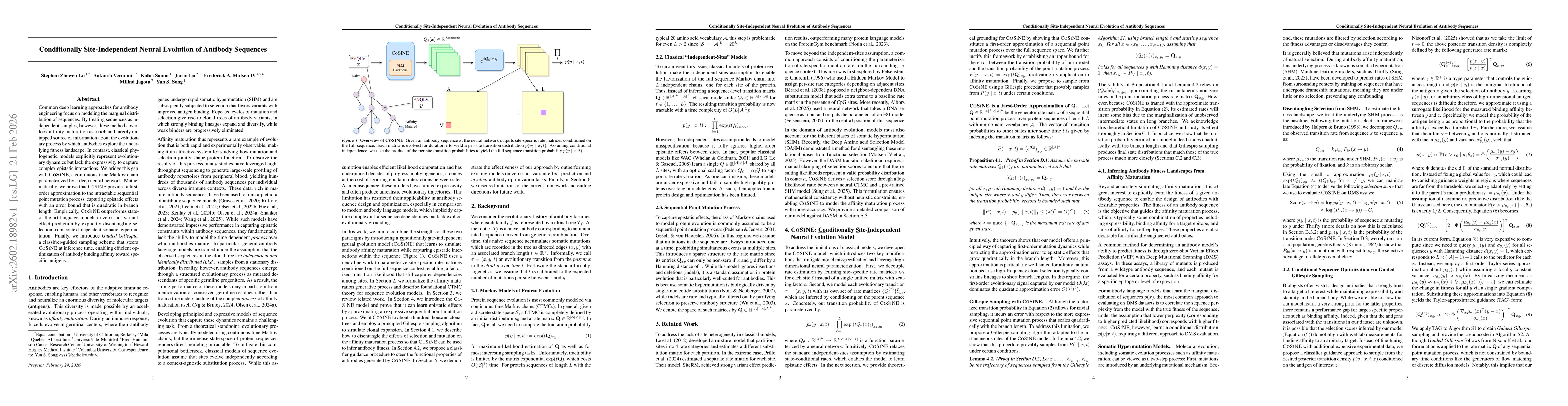 Thumbnail for Conditionally Site-Independent Neural Evolution of Antibody Sequences