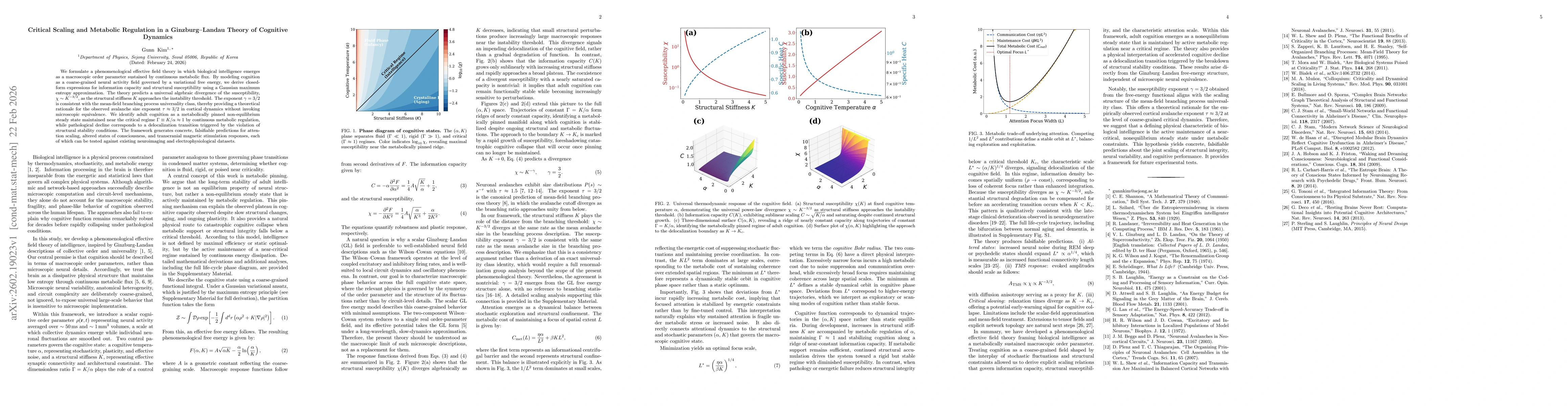 Thumbnail for Critical Scaling and Metabolic Regulation in a Ginzburg--Landau Theory of Cognitive Dynamics