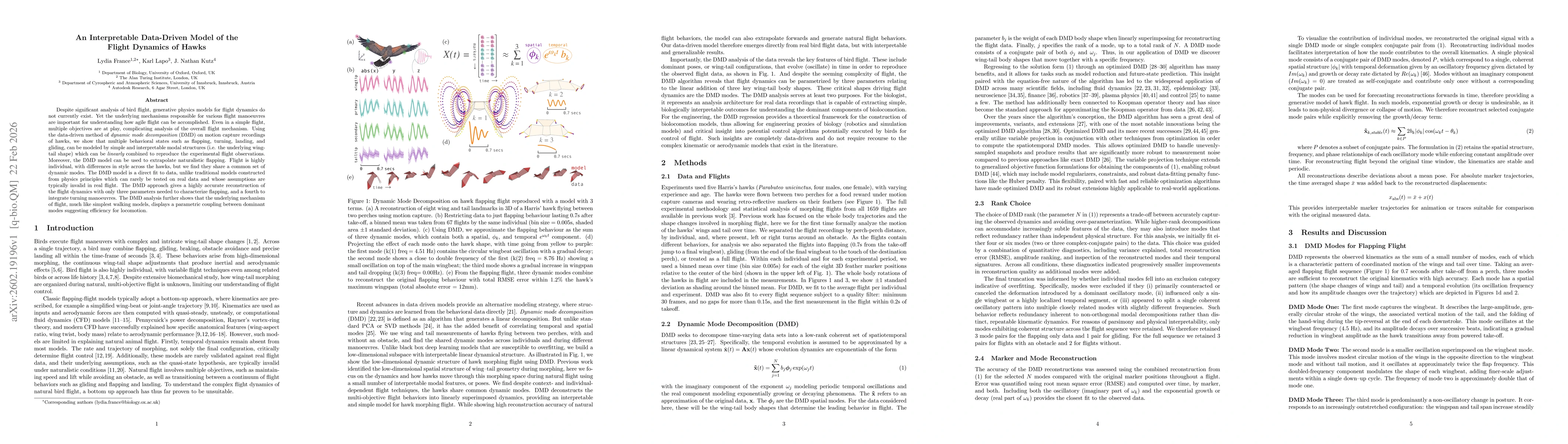 Thumbnail for An Interpretable Data-Driven Model of the Flight Dynamics of Hawks