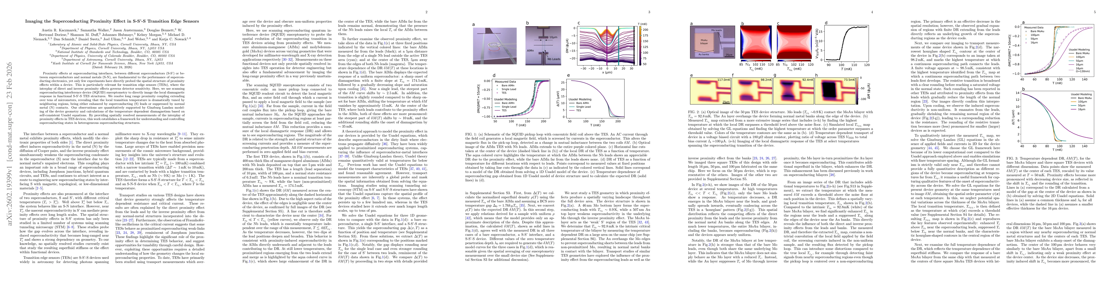 Thumbnail for Imaging the Superconducting Proximity Effect in S-S'-S Transition Edge Sensors