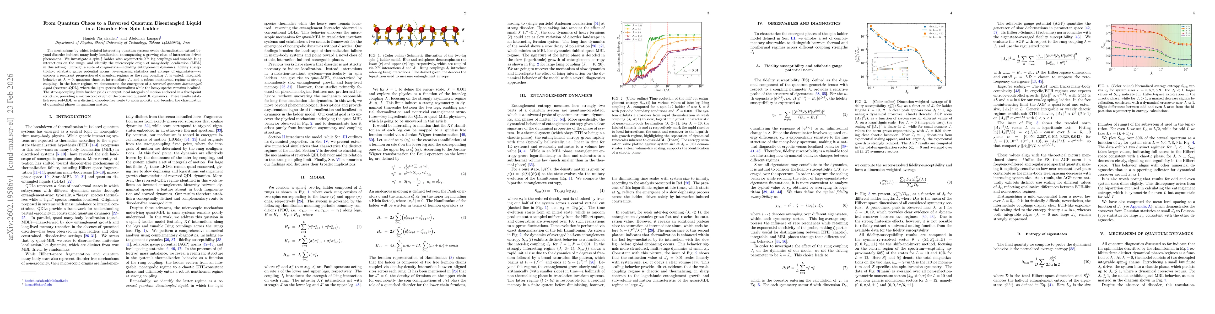 Thumbnail for From Quantum Chaos to a Reversed Quantum Disentangled Liquid in a Disorder-Free Spin Ladder