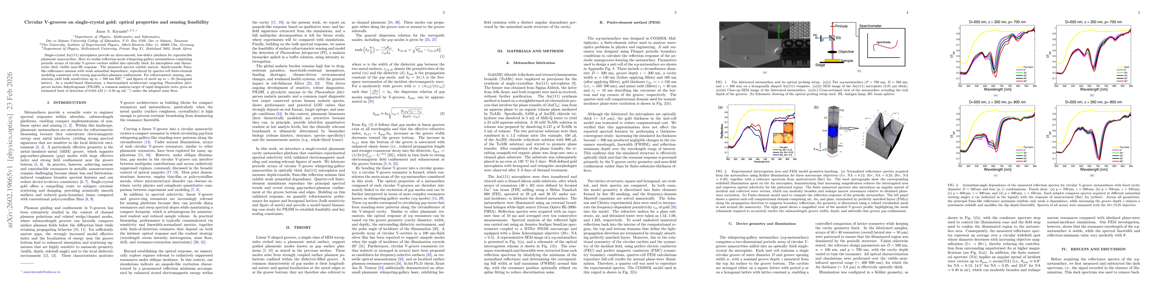 Thumbnail for Circular V-grooves on single-crystal gold: optical properties and sensing feasibility