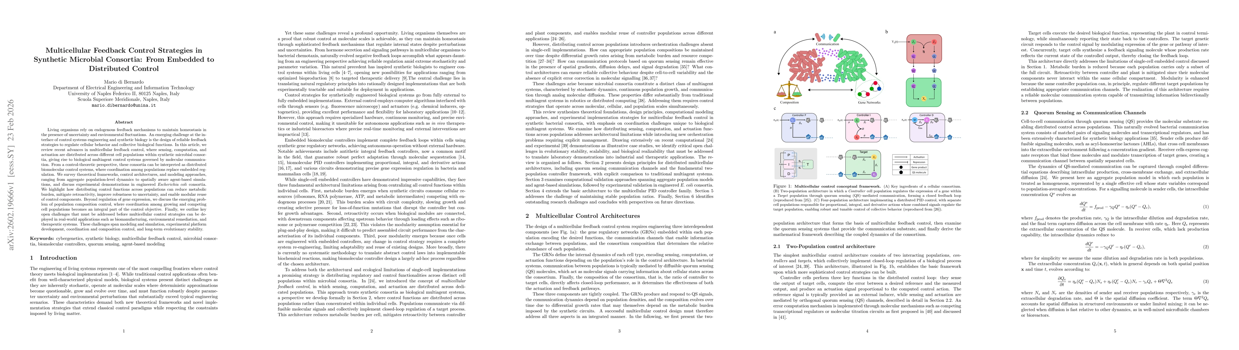 Thumbnail for Multicellular Feedback Control Strategies in Synthetic Microbial Consortia: From Embedded to Distributed Control