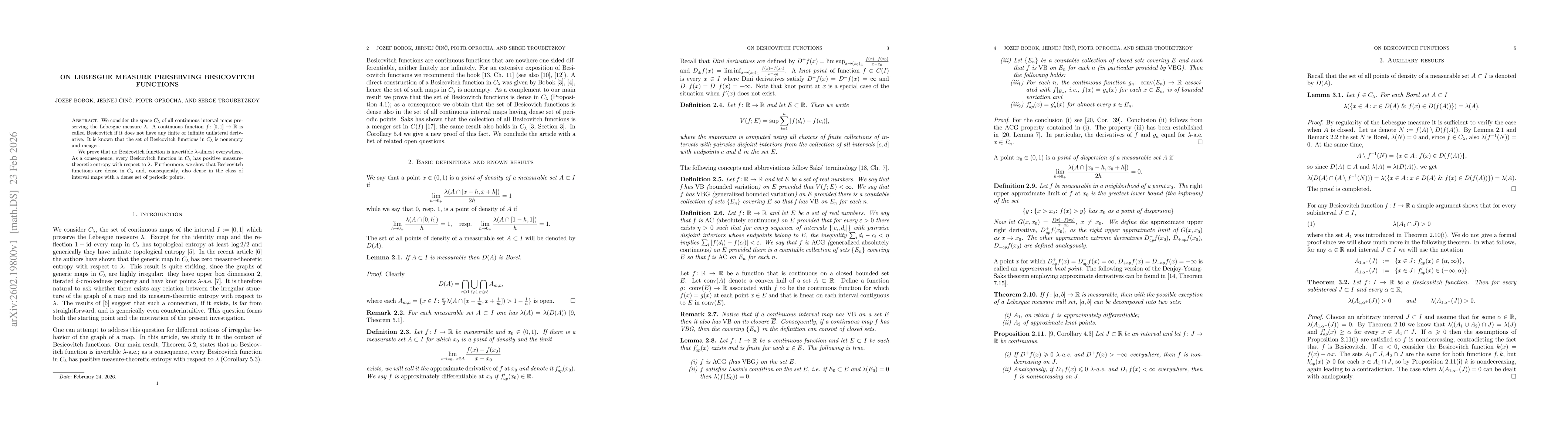 Thumbnail for On Lebesgue measure preserving Besicovitch functions