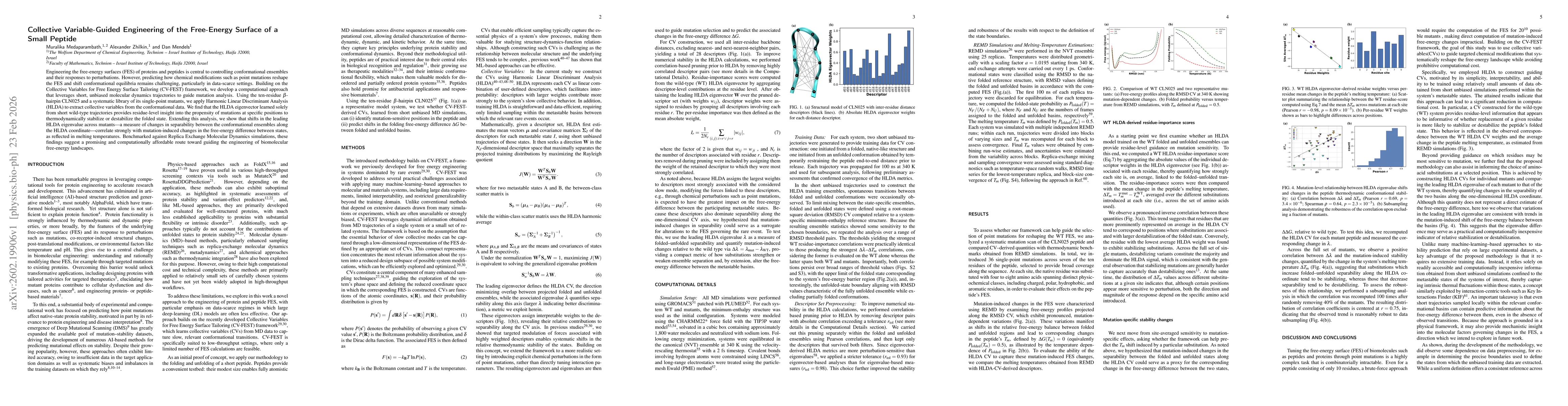 Thumbnail for Collective Variable-Guided Engineering of the Free-Energy Surface of a Small Peptide