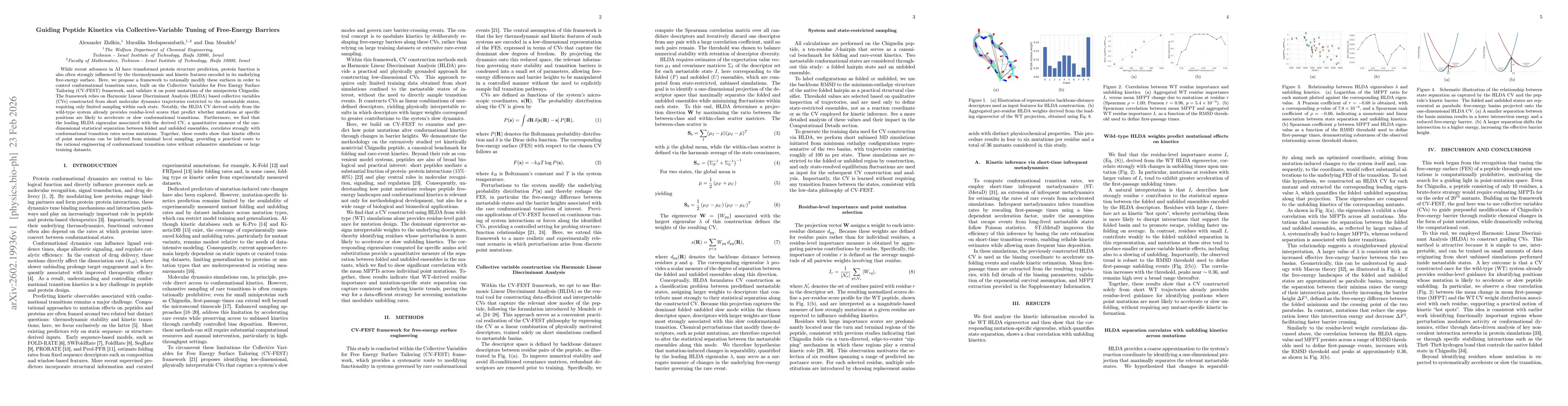 Thumbnail for Guiding Peptide Kinetics via Collective-Variable Tuning of Free-Energy Barriers