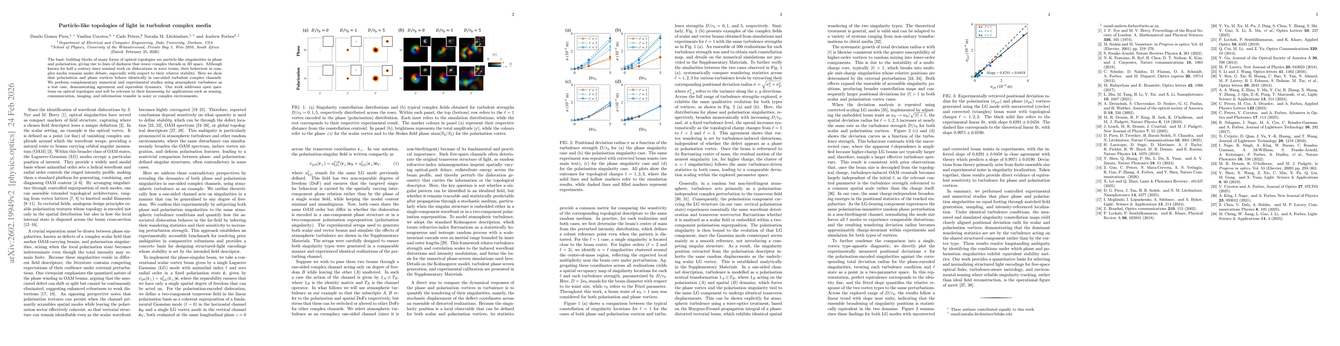 Thumbnail for Particle-like topologies of light in turbulent complex media
