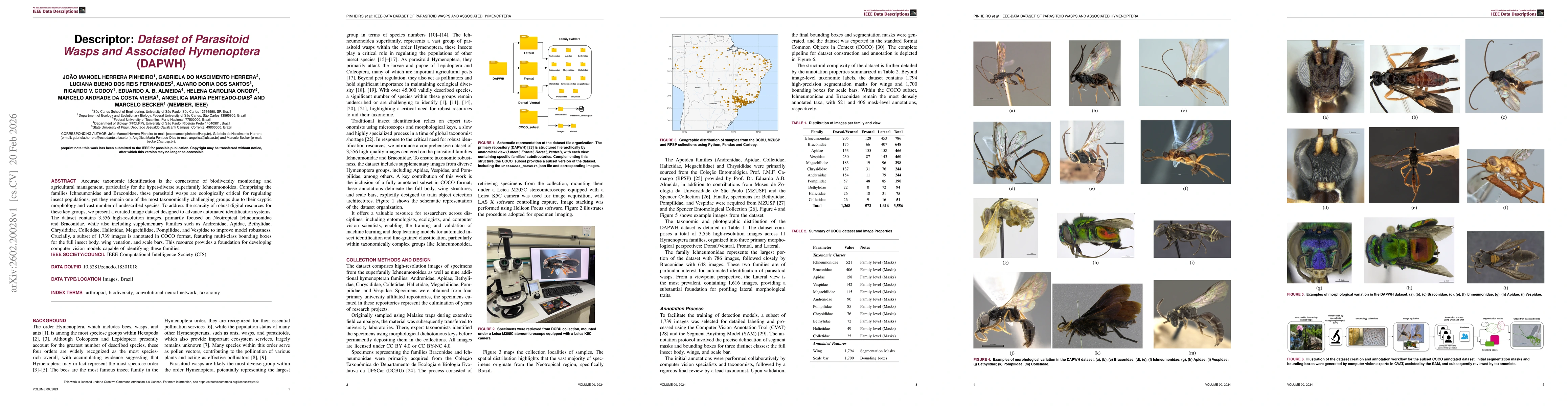 Thumbnail for Descriptor: Dataset of Parasitoid Wasps and Associated Hymenoptera (DAPWH)