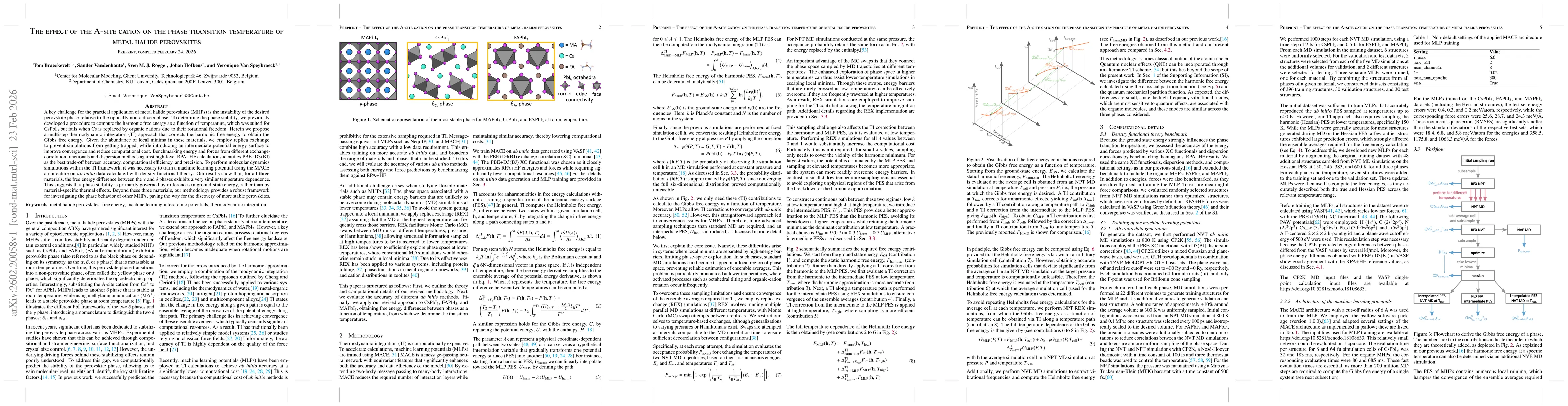 Thumbnail for The effect of the A-site cation on the phase transition temperature of metal halide perovskites