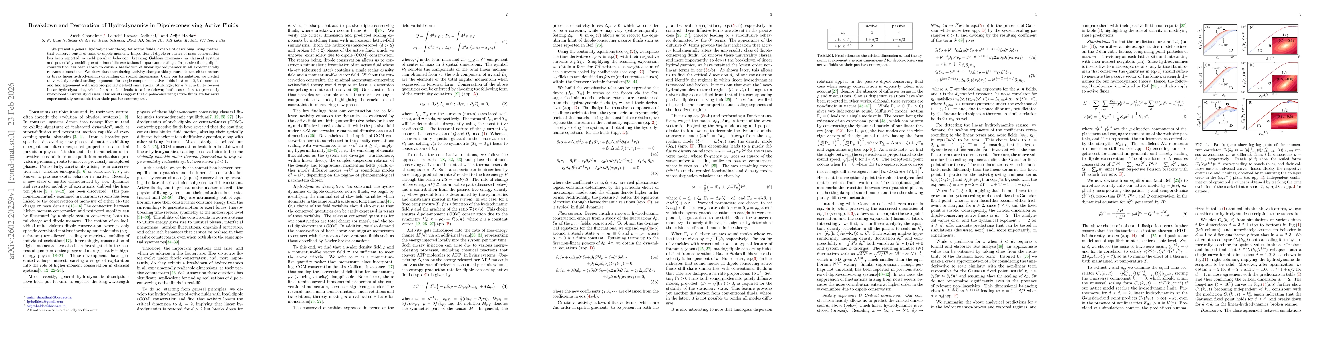 Thumbnail for Breakdown and Restoration of Hydrodynamics in Dipole-conserving Active Fluids