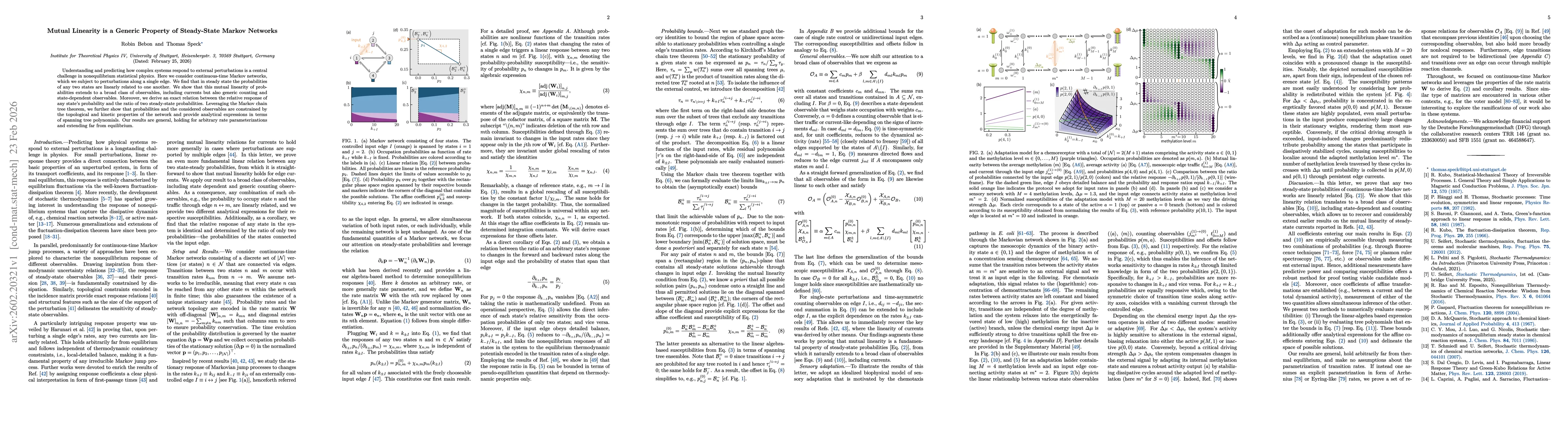 Thumbnail for Mutual Linearity is a Generic Property of Steady-State Markov Networks