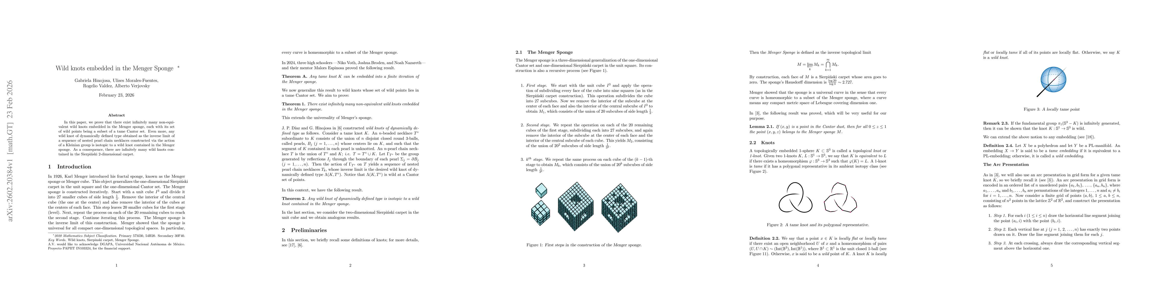 Thumbnail for Wild knots embedded in the Menger Sponge