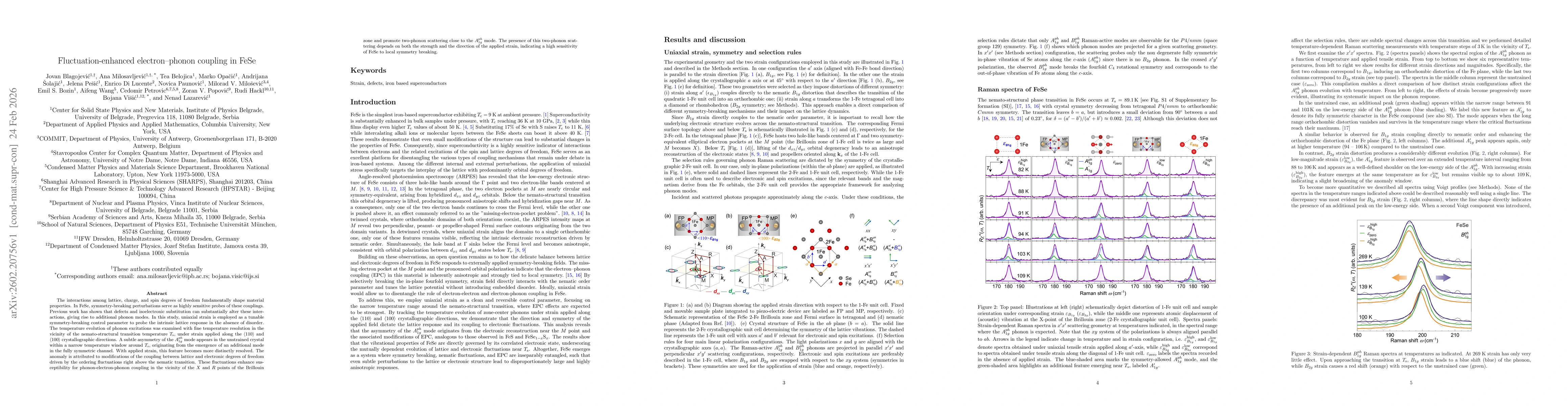 Thumbnail for Fluctuation-enhanced electron-phonon coupling in FeSe