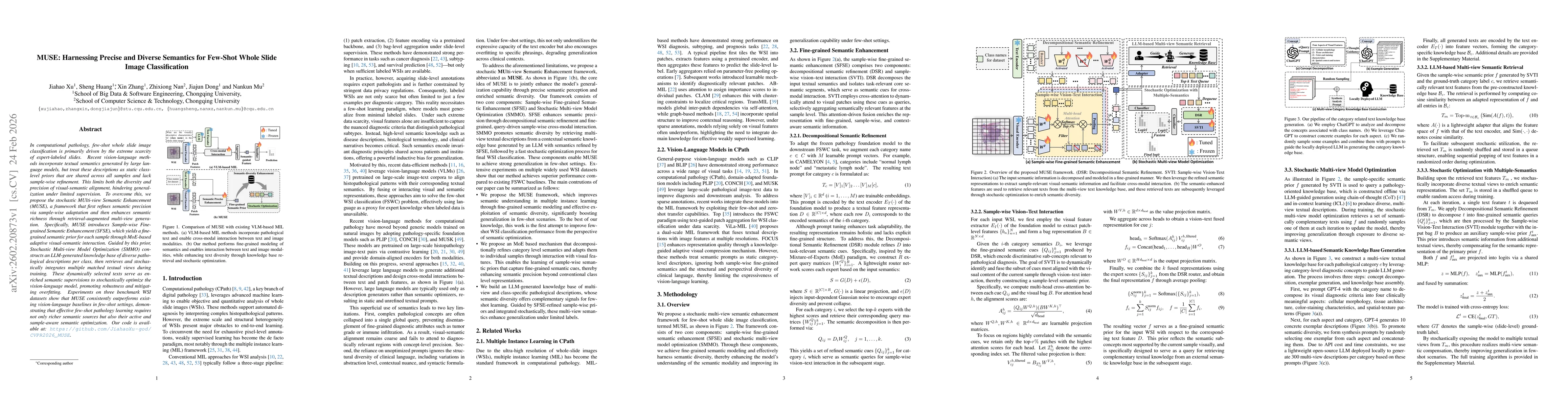 Thumbnail for MUSE: Harnessing Precise and Diverse Semantics for Few-Shot Whole Slide Image Classification