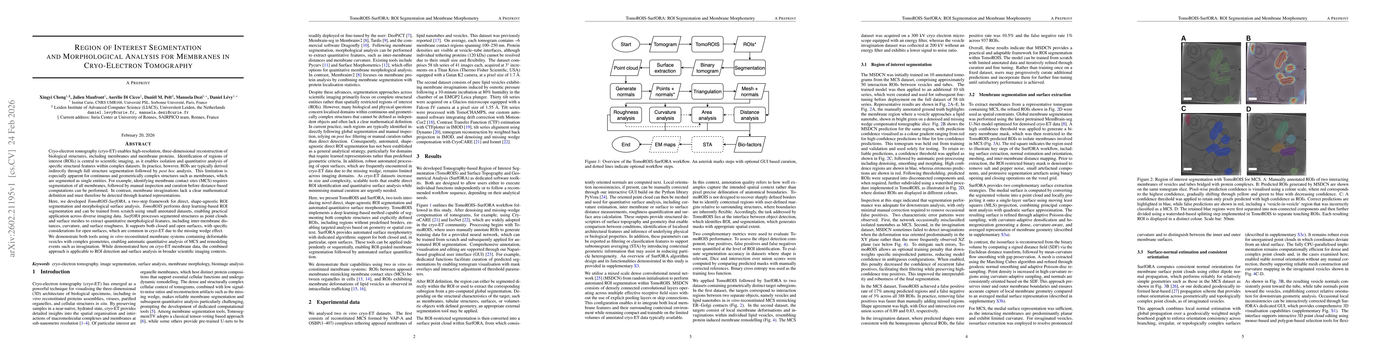 Thumbnail for Region of Interest Segmentation and Morphological Analysis for Membranes in Cryo-Electron Tomography