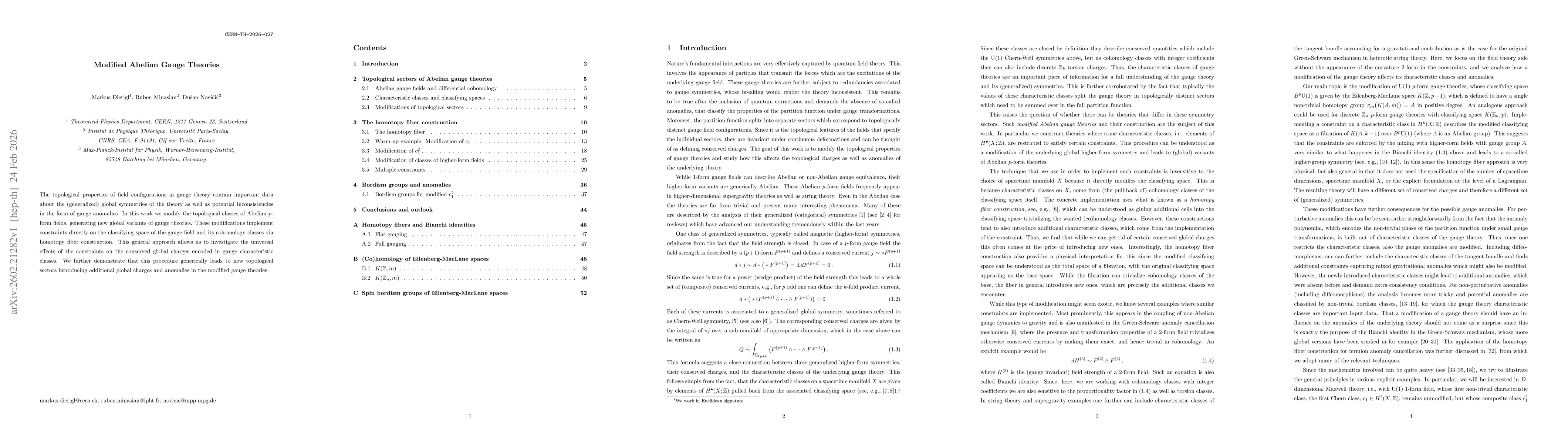 Thumbnail for Modified Abelian Gauge Theories