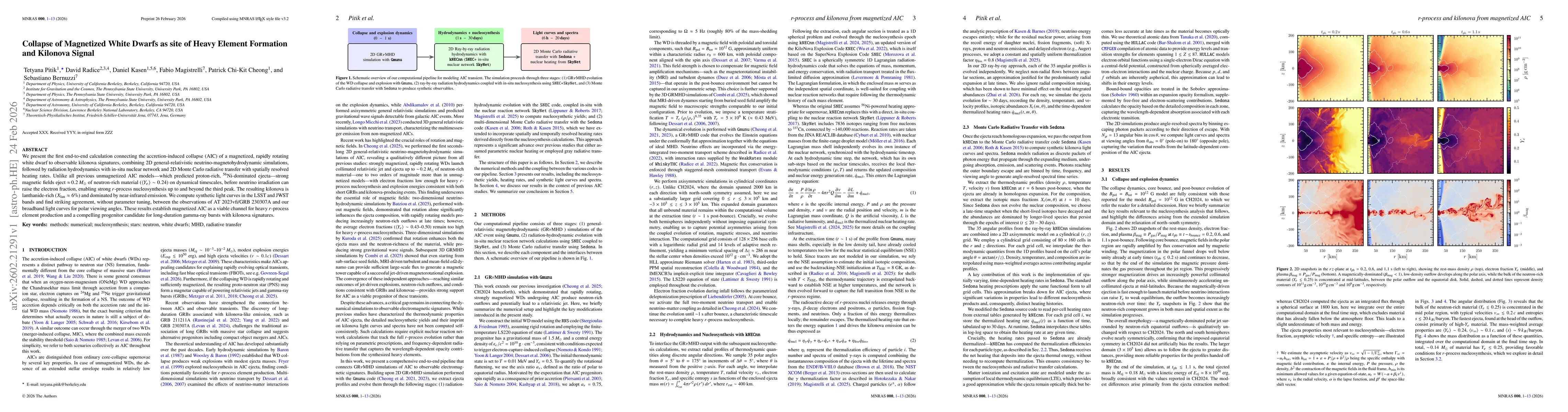 Thumbnail for Collapse of Magnetized White Dwarfs as site of Heavy Element Formation and Kilonova Signal