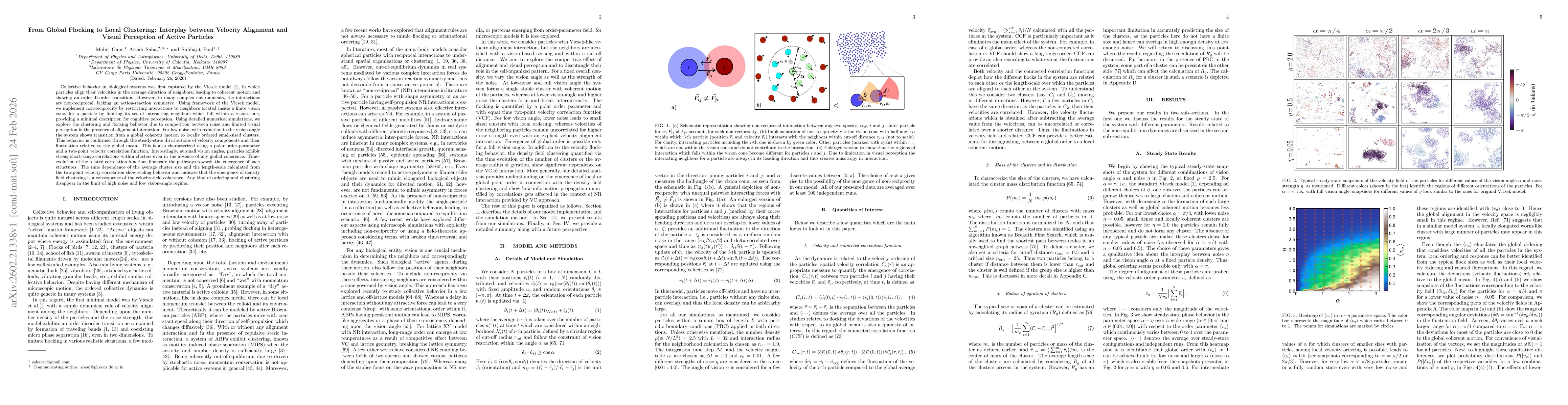 Thumbnail for From Global Flocking to Local Clustering: Interplay between Velocity Alignment and Visual Perception of Active Particles