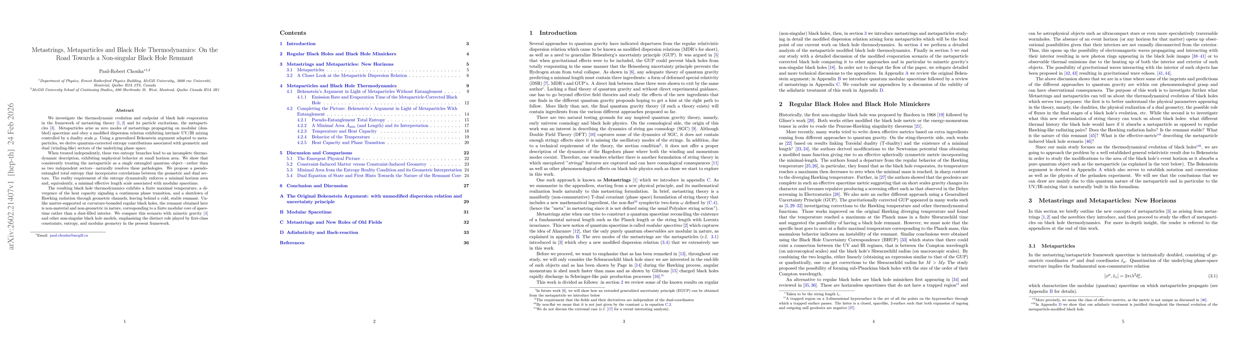 Thumbnail for Metastrings, Metaparticles and Black Hole Thermodynamics: On the Road Towards a Non-singular Black Hole Remnant