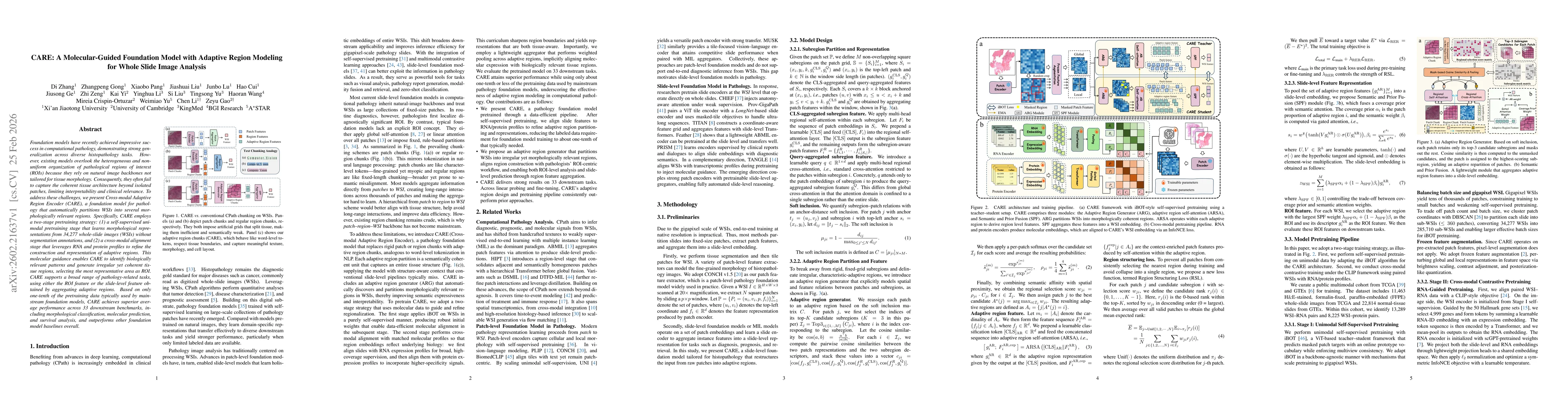 Thumbnail for CARE: A Molecular-Guided Foundation Model with Adaptive Region Modeling for Whole Slide Image Analysis