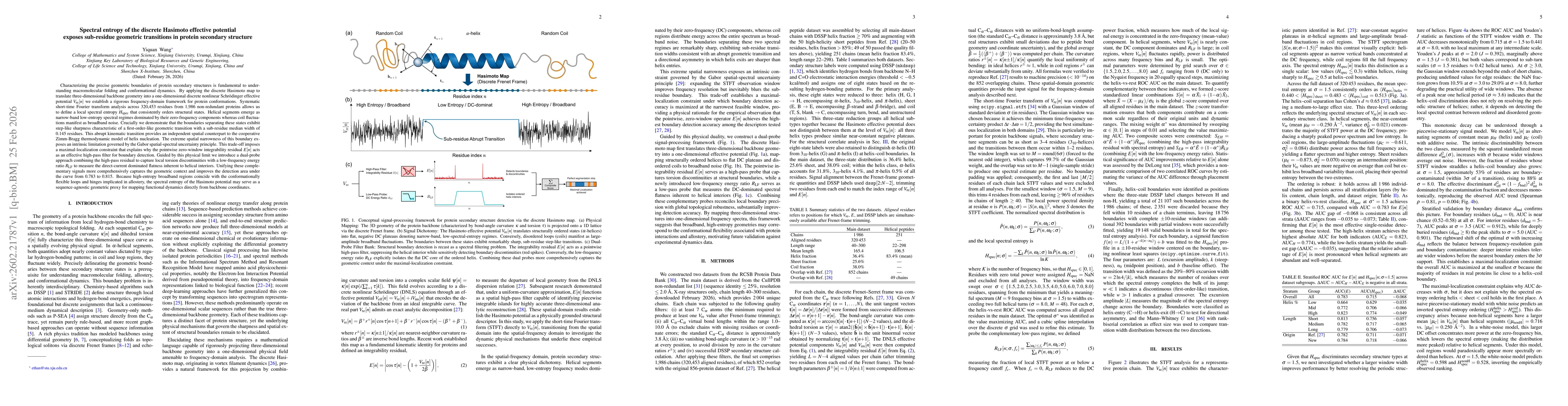 Thumbnail for Spectral entropy of the discrete Hasimoto effective potential exposes sub-residue geometric transitions in protein secondary structure