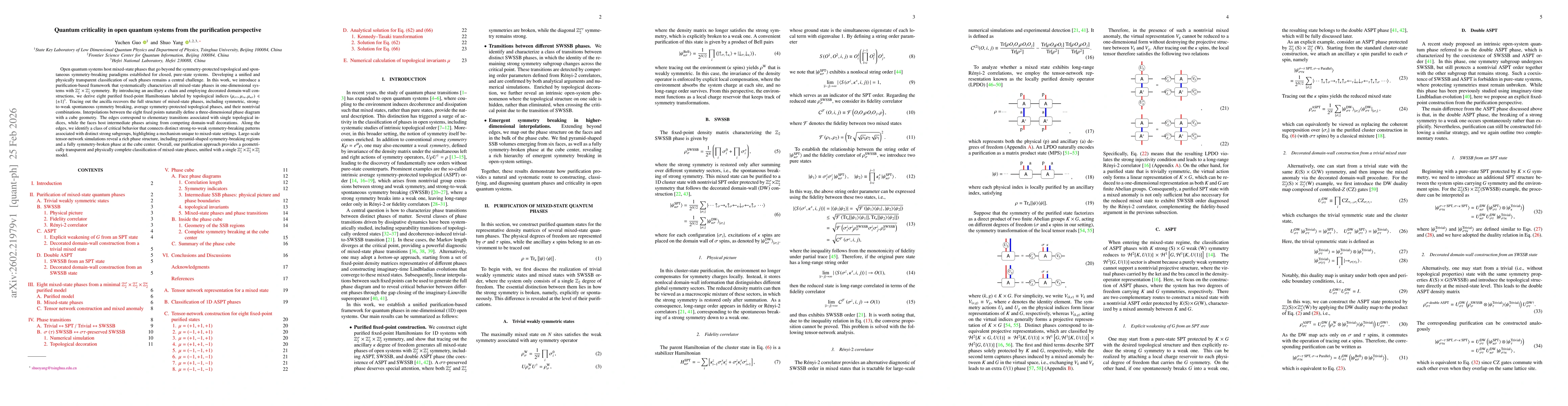 Thumbnail for Quantum criticality in open quantum systems from the purification perspective