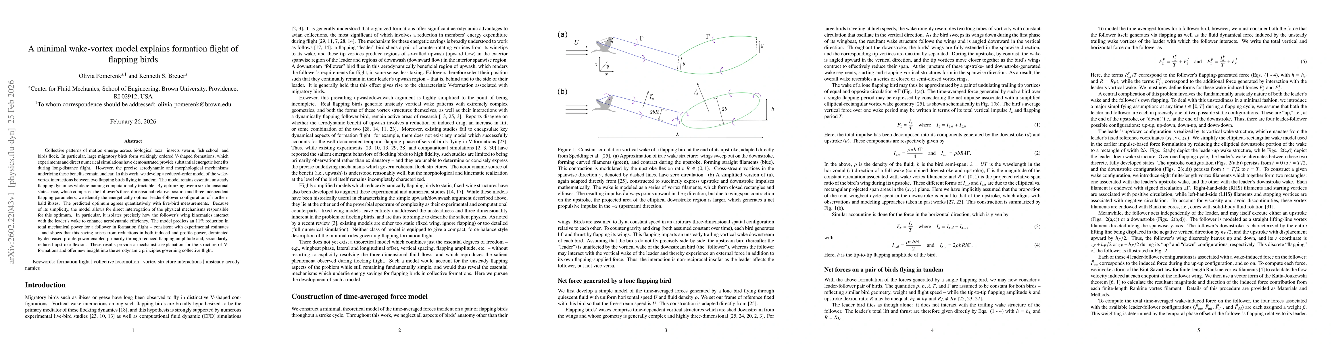 Thumbnail for A minimal wake-vortex model explains formation flight of flapping birds