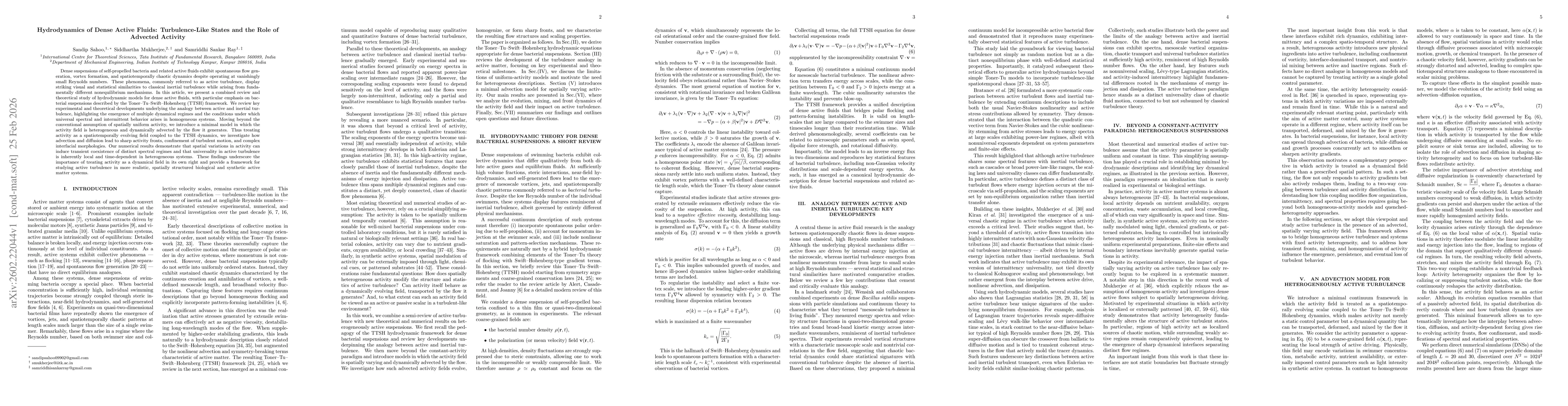 Thumbnail for Hydrodynamics of Dense Active Fluids: Turbulence-Like States and the Role of Advected Activity