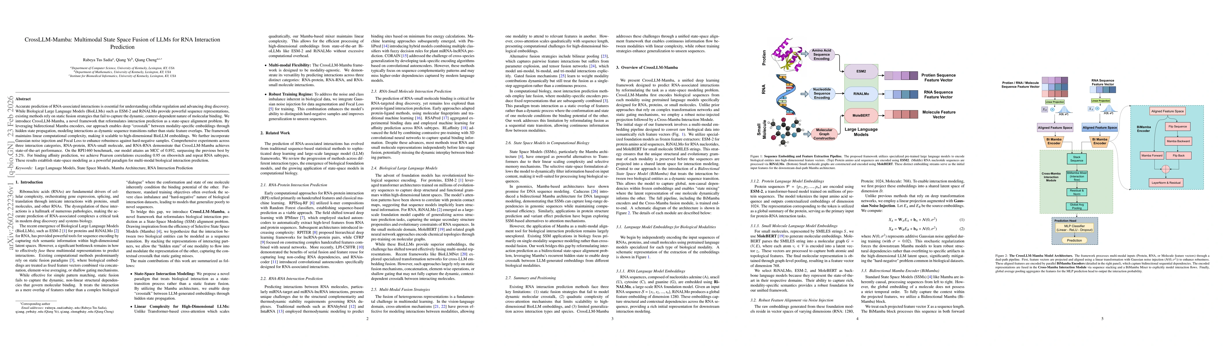 Thumbnail for CrossLLM-Mamba: Multimodal State Space Fusion of LLMs for RNA Interaction Prediction