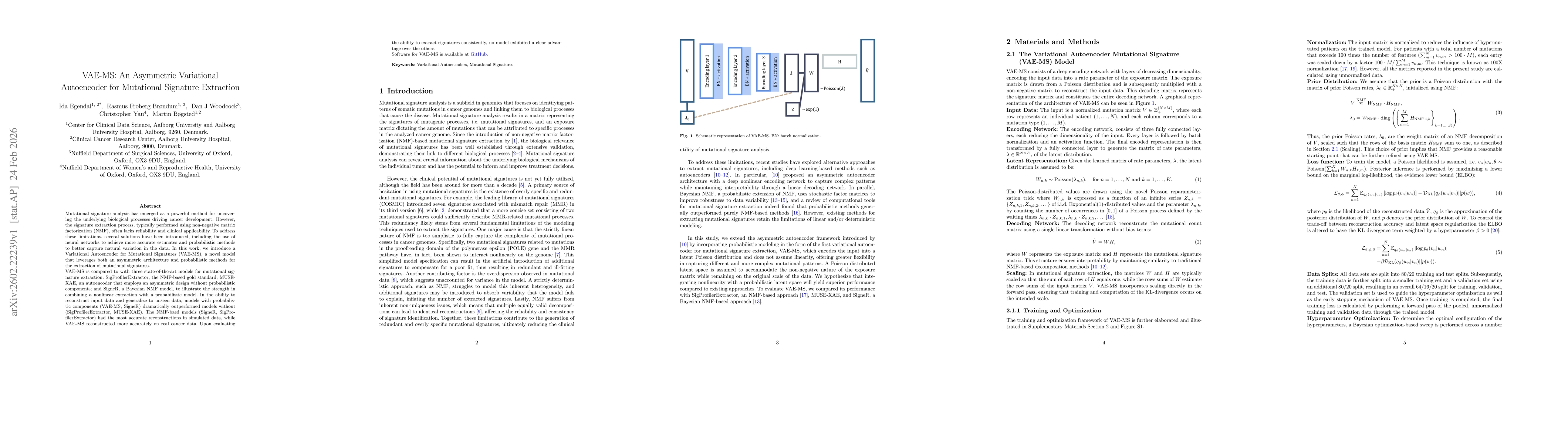 Thumbnail for VAE-MS: An Asymmetric Variational Autoencoder for Mutational Signature Extraction