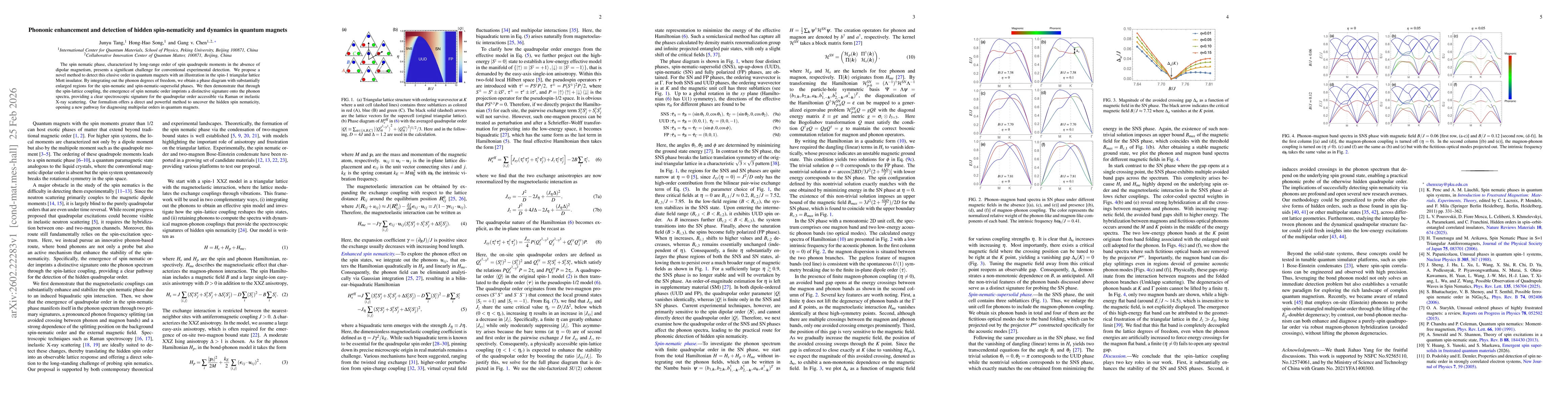 Thumbnail for Phononic enhancement and detection of hidden spin-nematicity and dynamics in quantum magnets