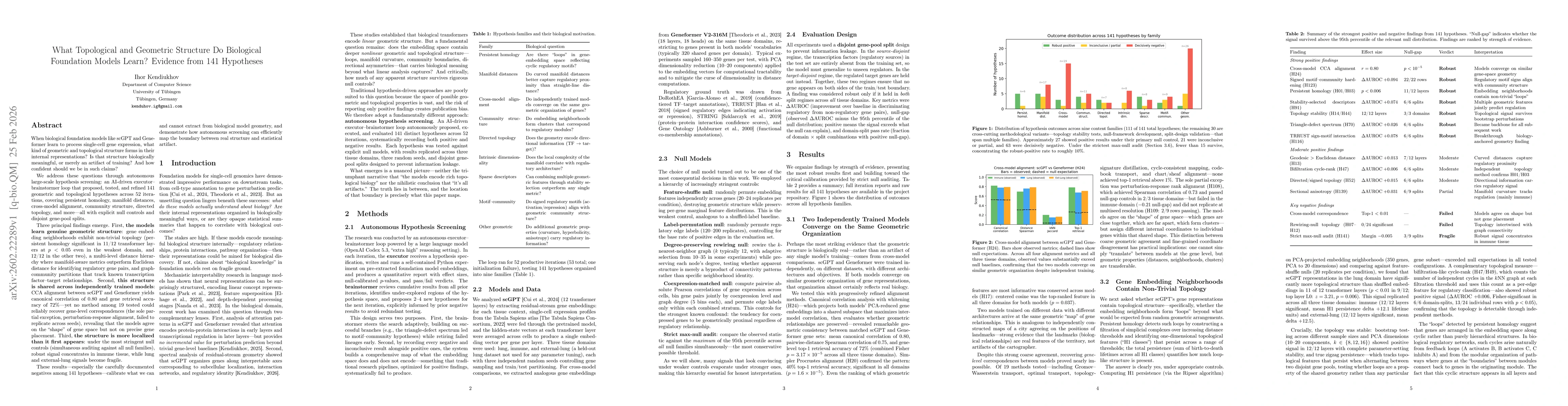 Thumbnail for What Topological and Geometric Structure Do Biological Foundation Models Learn? Evidence from 141 Hypotheses