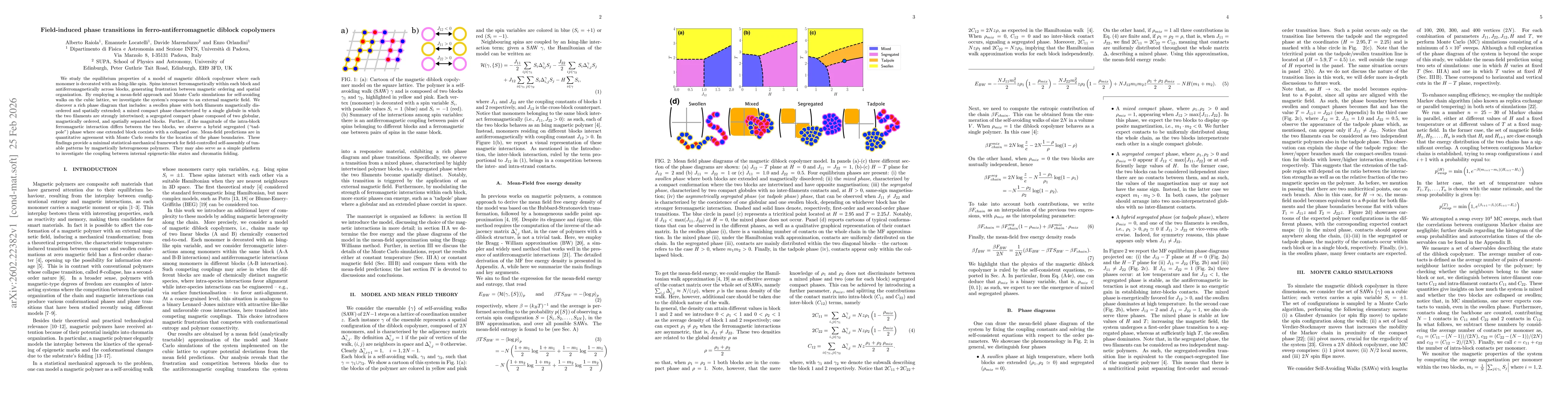 Thumbnail for Field-induced phase transitions in ferro-antiferromagnetic diblock copolymers