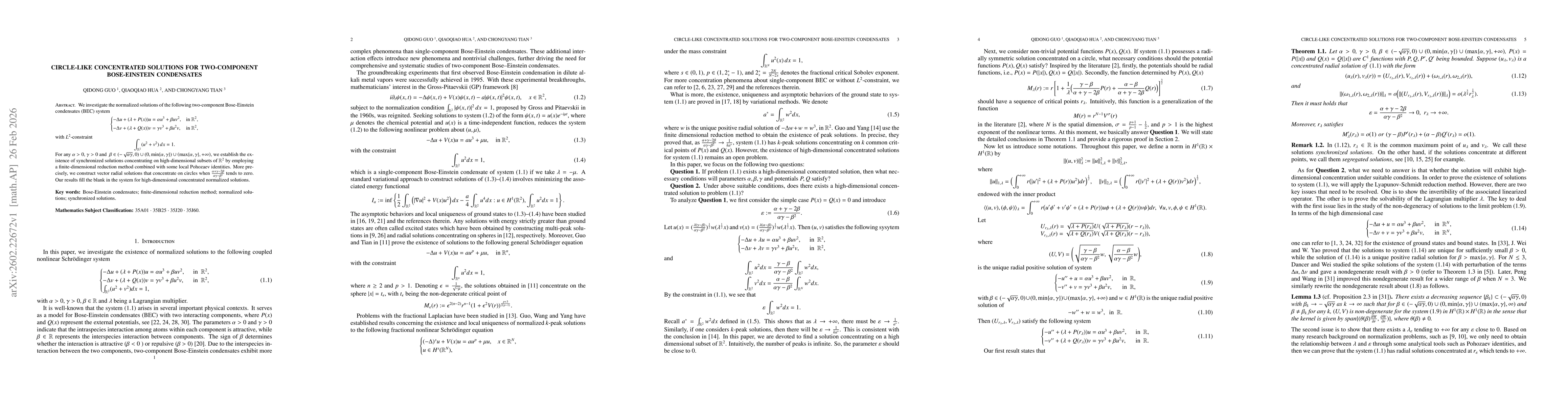 Thumbnail for Circle-like concentrated solutions for two-component Bose-Einstein condensates