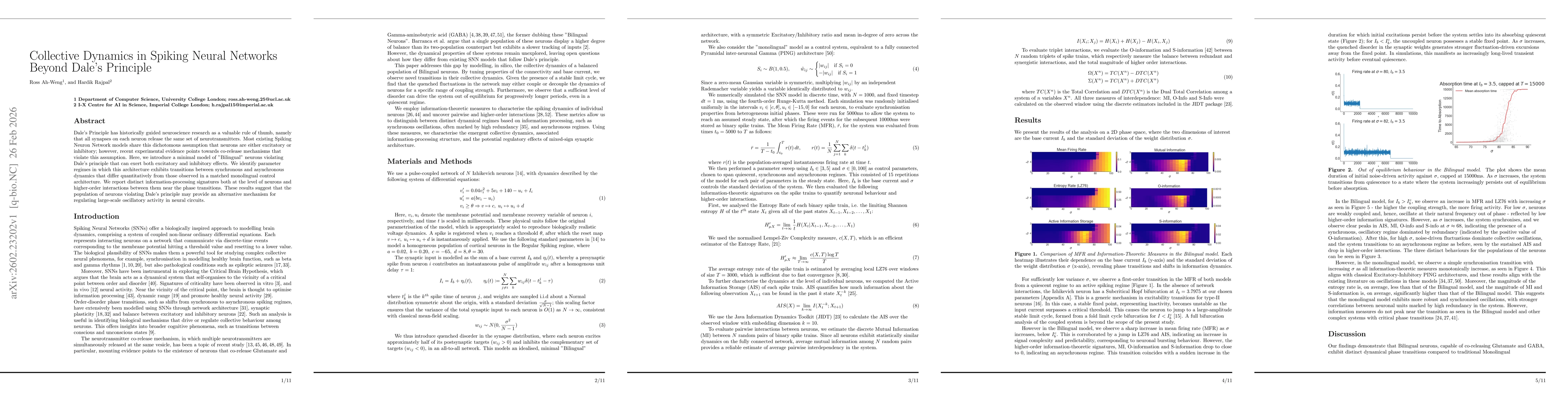 Thumbnail for Collective Dynamics in Spiking Neural Networks Beyond Dale's Principle