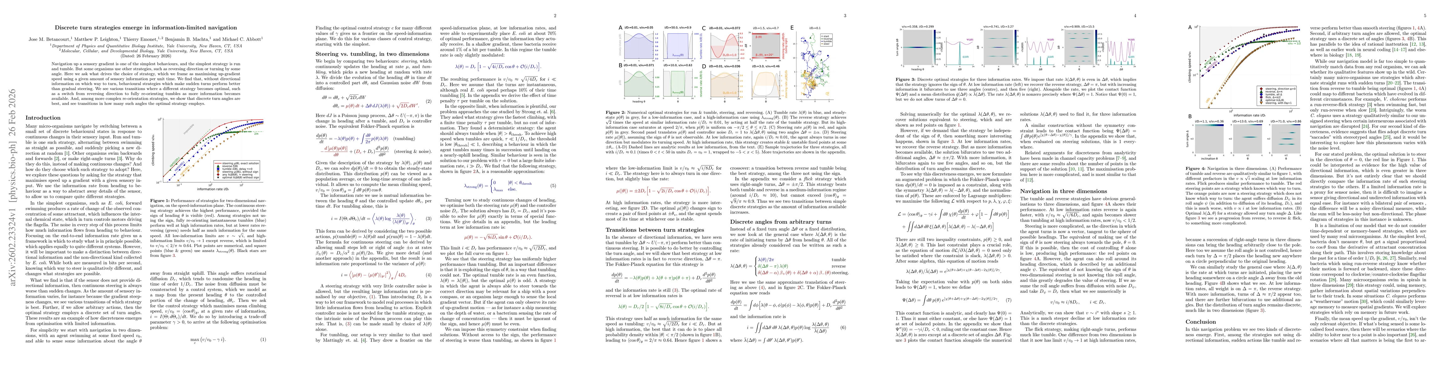 Thumbnail for Discrete turn strategies emerge in information-limited navigation