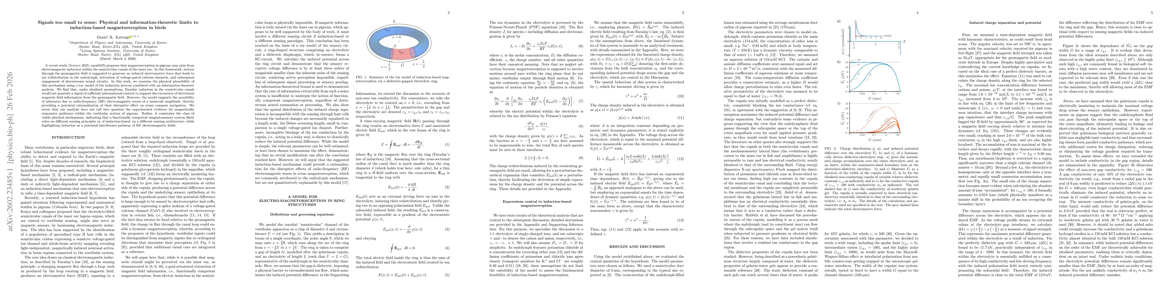 Thumbnail for Signals too small to sense: Physical and information-theoretic limits to induction-based magnetoreception in birds