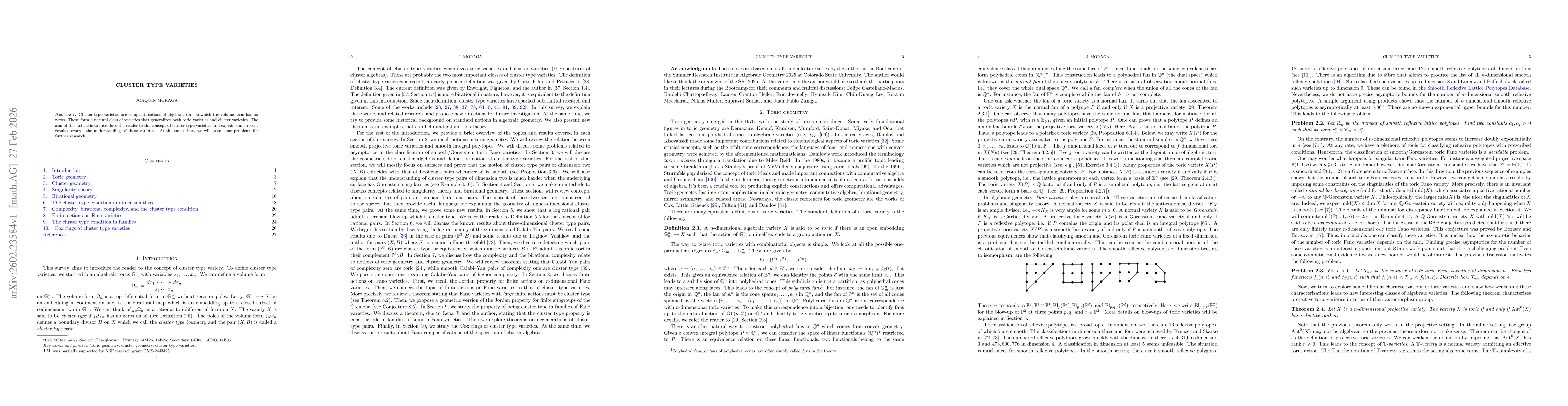 Thumbnail for Cluster type varieties