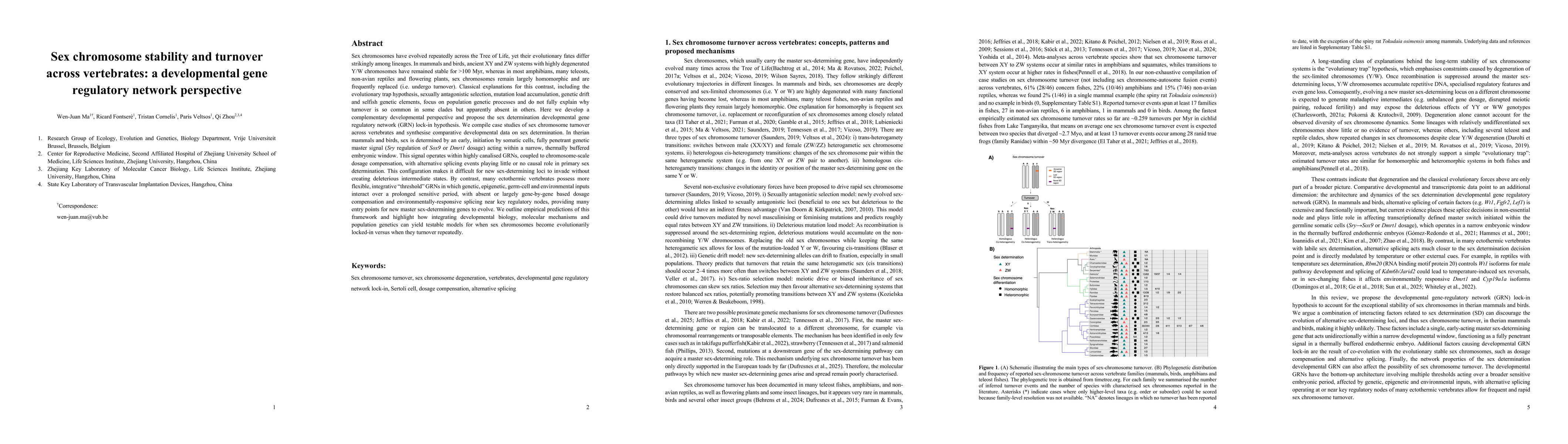 Thumbnail for Sex chromosome stability and turnover across vertebrates: a developmental gene regulatory network perspective