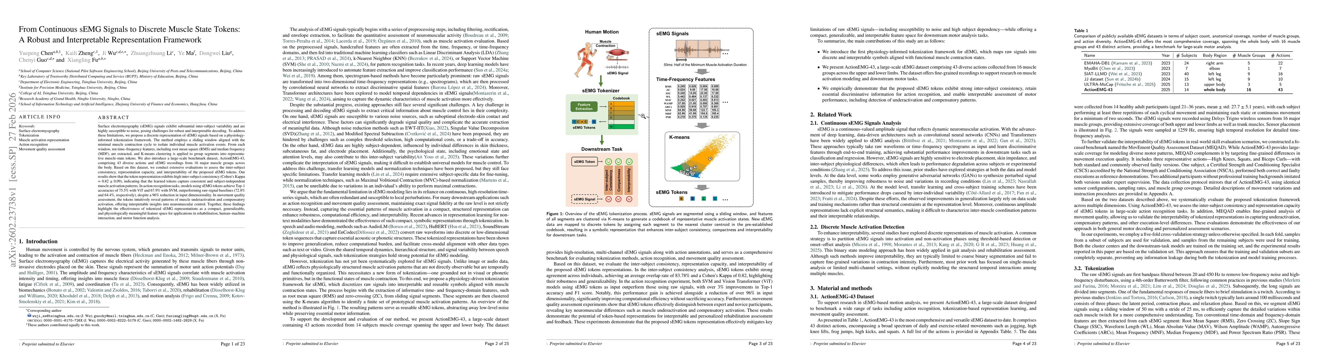Thumbnail for From Continuous sEMG Signals to Discrete Muscle State Tokens: A Robust and Interpretable Representation Framework