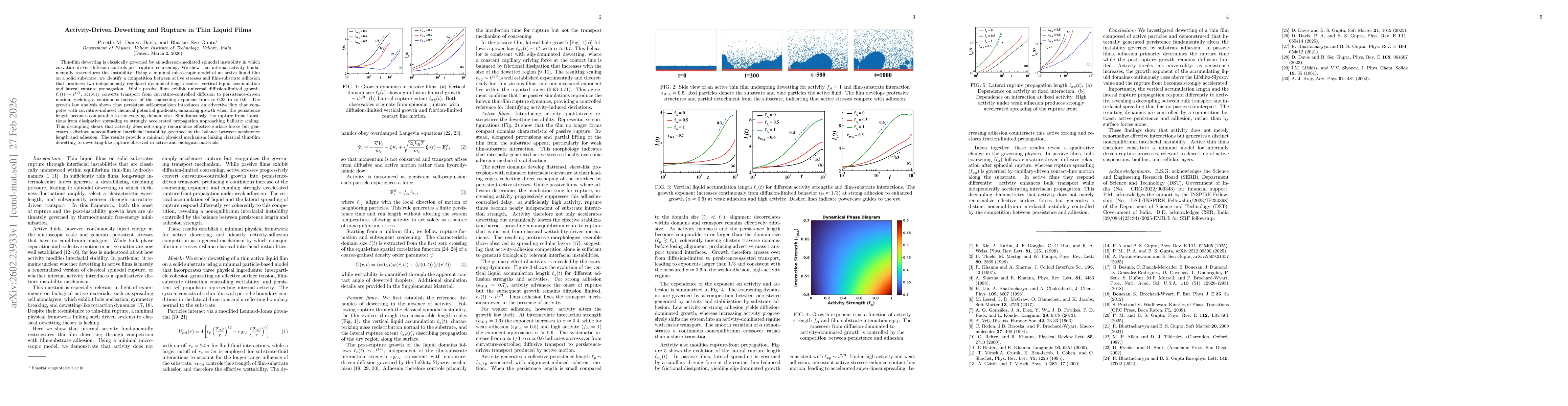 Thumbnail for Activity-Driven Dewetting and Rupture in Thin Liquid Films
