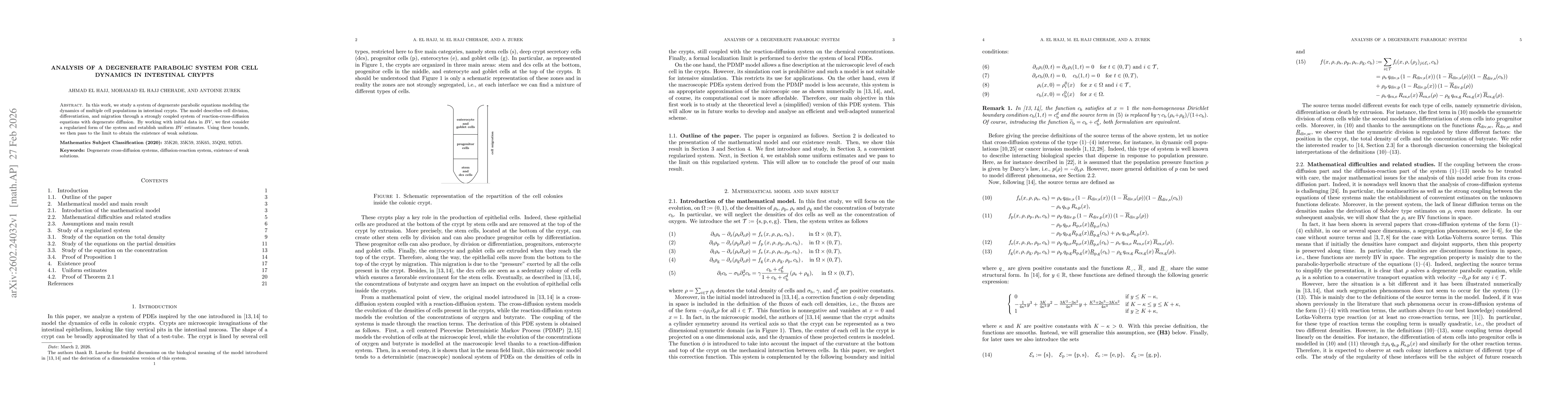 Thumbnail for Analysis of a degenerate parabolic system for cell dynamics in intestinal crypts