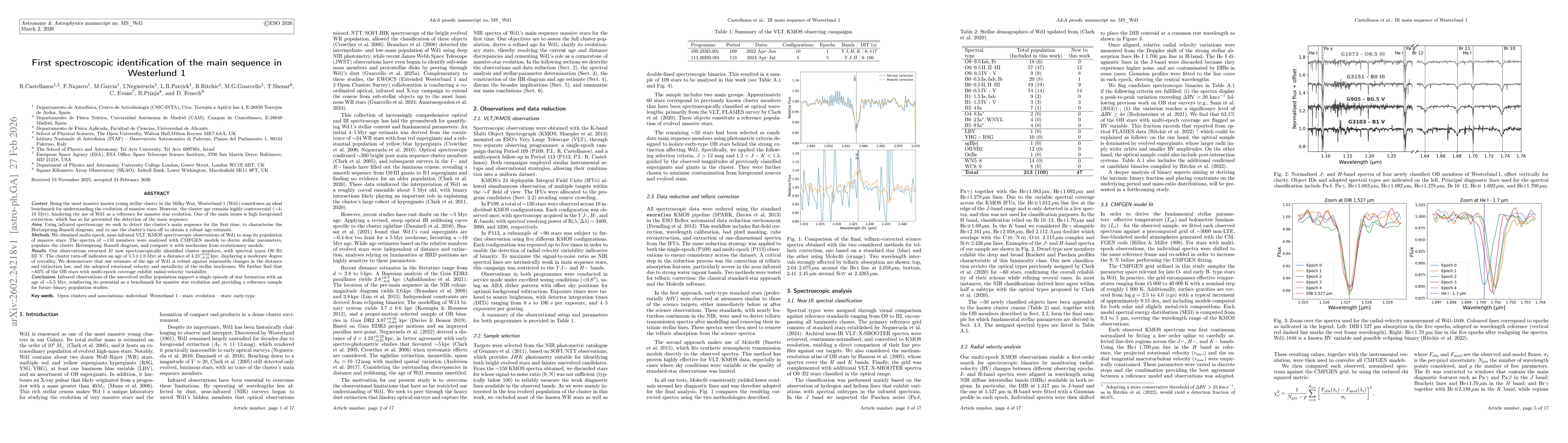 Thumbnail for First spectroscopic identification of the main sequence in Westerlund 1